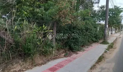 Terreno comercial para alugar na Geral Do Rosa - Ibiraquera, 002, Praia do Rosa, Imbituba, 4900 m2 por R$ 12.000