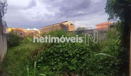 Venda Lote-Área-Terreno Santa Terezinha Belo Horizonte