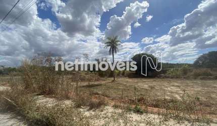 Venda Lote-Área-Terreno Inácia de Carvalho São José da Lapa