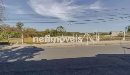 Locação Lote-Área-Terreno Braúnas Belo Horizonte