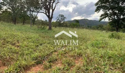 Fazenda à Venda na Zona Rural de Paracatu, MG