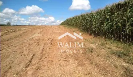 Fazenda Canteiros: Um Paraíso Agrícola no Sul de Minas Gerais