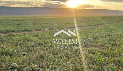 Fazenda com 3 dormitórios à venda, 25800000 m² por R$ 200.000.000,00 - Zona Rural - Itajubá/MG