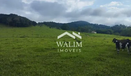??? Terreno Excepcional de 8 ha em Itaguara, MG - Ideal para Horta e Produção ??