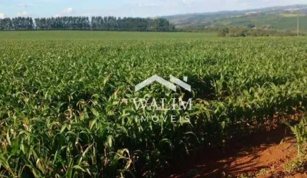 Oportunidade Imperdível: Fazenda de 500 Hectares no Campo das Vertentes, MG