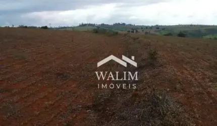 FAZENDA DE 240 HECTARES À VENDA EM BAMBUÍ/MG – TERRA FÉRTIL PARA LAVOURAS E AGROINDÚSTRIA!