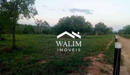 Fazenda de 128 Hectares em Caetanópolis, MG  Estrutura Completa e Alto Potencial Produtivo!