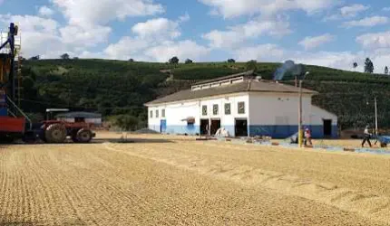 ? Fazenda Cafeeira Pronta em Carmo de Minas – 127 Hectares | 400 Mil Pés de Café | Produção de Alta Qualidade!