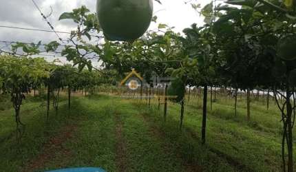 Chácara / sítio à venda no Abaitinga, São Miguel Arcanjo  por R$ 1.150.000