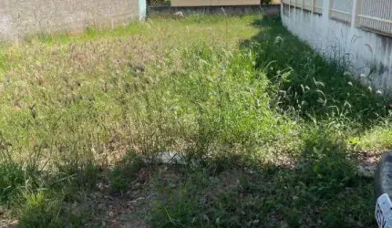 Terreno à venda, 250 m² por R$ 85.000,00 - Jardim Metosita  - Caldas Novas/GO