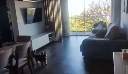 Apartamento à venda em Taboão da Serra-SP, Parque Assunção: 2 quartos, 1 suíte, 2 salas, 2 banheiros, 2 vagas.