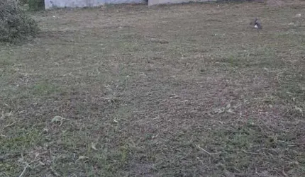 Terreno para Venda em Iguaba Grande, Capivara