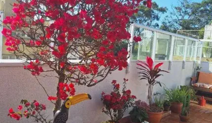 Cobertura na Granja Viana