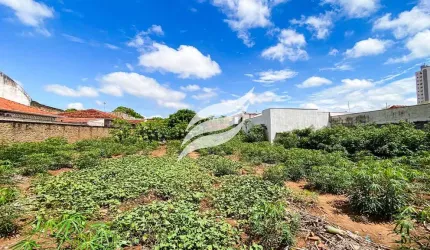 Lote 1.180 m² à venda no Centro de Birigui