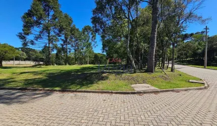 Terreno no Loteamento Villa Mariana em Canela.