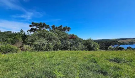 Terreno à venda, 1123 m² por R$ 300.000,00 - Distrito Eletra - São Francisco de Paula/RS