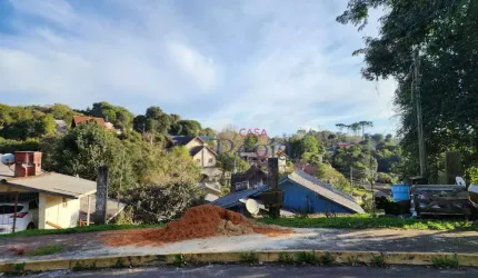 Terreno à venda, 545 m² por R$ 466.000,00 - Vila do Cedro - Canela/RS