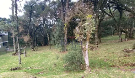 Terreno à venda, 595 m² por R$ 1.400.000,00 - Centro - Canela/RS