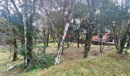 Terreno à venda, 707 m² por R$ 1.800.000,00 - Centro - Canela/RS