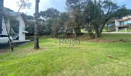 Terreno à venda, 739 m² por R$ 2.000.000,00 - Centro - Canela/RS
