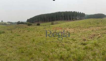Área à venda – 3 hectares na Rota do Sol, São Francisco de Paula