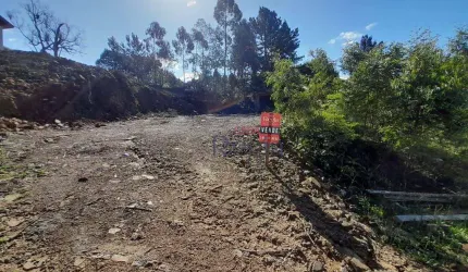 Terreno a venda no bairro Eugênio Ferreira em Canela!