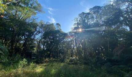 Terreno à venda no Loteamento Colinas – São Francisco de Paula/RS!