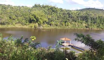 FAZENDA COM 131 HECTARES