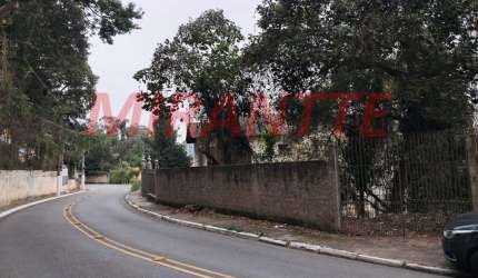 Terreno em Vila Albertina