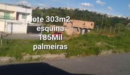 LOTE NO PALMEIRAS