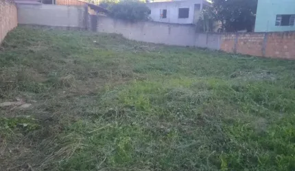 lote no sao joao