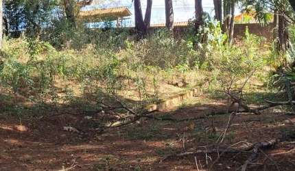 lote em ibirite