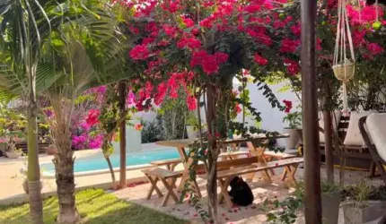 Casa para Venda em Tibau do Sul, Pipa, 2 dormitórios, 1 suíte, 2 banheiros, 4 vagas