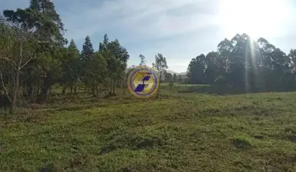 Sítio / Chácara para Venda em Torres, Rio Verde, 2 dormitórios, 1 banheiro, 1 vaga
