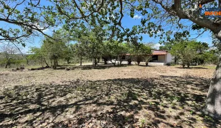 Chácara residencial para Venda no Tomba, Feira de Santana, 4 quartos, 1 sala, 2 banheiros 60mil m² área total.