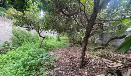 Terreno Residencial para Venda em rua pública, Sim, Feira de Santana, 420,00 m² área total total.