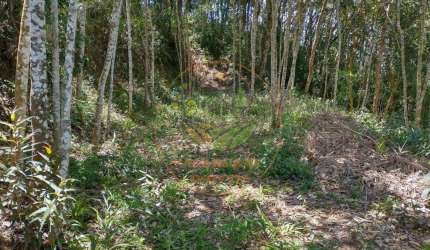 OPORTUNIDADE! ÁREA EXCELENTE COM 27.000M² EM NAZARÉ PAULISTA - SP  AR00078
