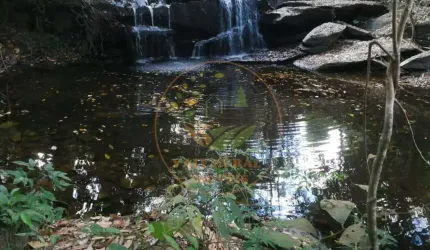 LINDA FAZENDA DE 94 ALQUEIRES MUNICÍPIO DE SANTA BÁRBARA DE GOIÁS FA00138