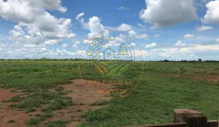 OPORTUNIDADE! FAZENDA NO TOCANTINS COM 970 ALQUEIRES FA00136