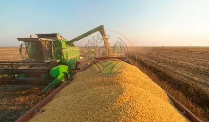 MAGNÍFICA FAZENDA  DE 84 ALQUEIRES EM GOIÁS! FA00129