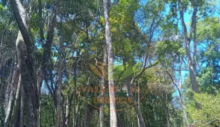 SÍTIO MARAVILHOSO EM CONCEIÇÃO DO RIO VERDE COM DIVERSAS BELEZAS NATURAIS.