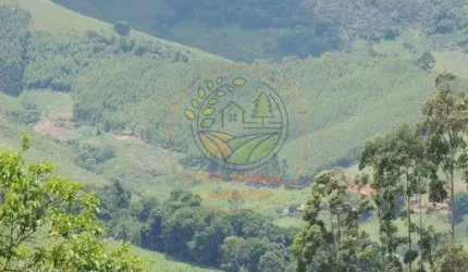 OPORTUNIDADE EM CUNHA! ÁREA RURAL COM MAIS DE 32.000 PÉS DE EUCALIPTO! AR00062