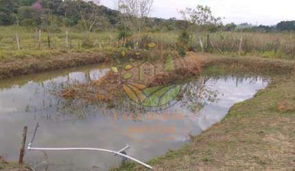 CHÁCARA EM CAÇAPAVA DE 7.017,52 M² COM CASA DE LAJE, TANQUE DE PEIXES E POMAR! CH00188