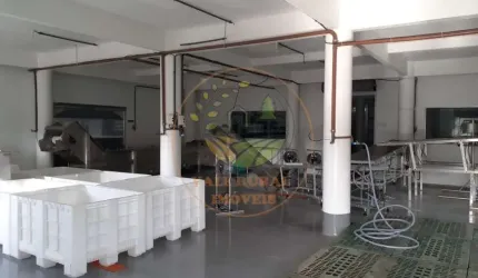 OPORTUNIDADE DE NEGÓCIO! INDUSTRIA DE AÇAI E POLPA DE FRUTAS COM 16.250 HECTARES! GL00006