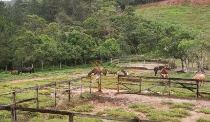 EXCELENTE SÍTIO - HARAS FORMADO COM 114.700 M² EM MOGI DAS CRUZES COM MUITAS BENFEITORIAS! ST00061