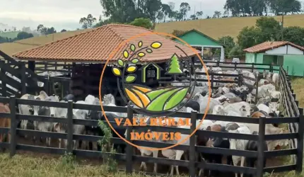 RARIDADE! FAZENDA NO SUL DE MINAS DE  143 HECTARES, COM ESTRUTURA COMPLETA PARA BOIS DE CORTE!  FA00025