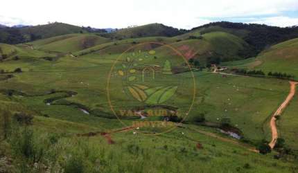 ÓTIMA FAZENDA EM SILVEIRAS DE 106 ALQUEIRES, COM MUITO PASTO E EUCALIPTO -  FA00012
