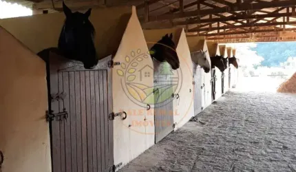 OPORTUNIDADE! MARAVILHOSO HARAS DE 50.000M² EM GUARAREMA - SP  HA00006