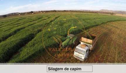 MARAVILHOSA FAZENDA  DE 8.503,87 HECTARES EM MONTES CLAROS - MG  FA00180