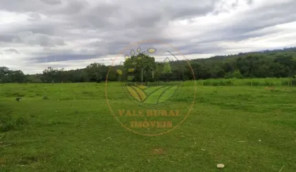 FAZENDA DE DUPLA APTIDÃO, COM 310 ALQUEIRES NA REGIÃO DE IPAMERI - GO  FA00196